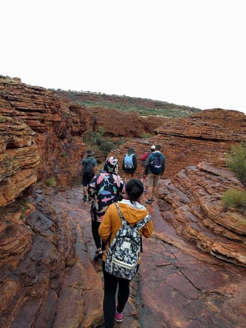 3-Day Ayers Rock To Alice Springs Camping Tour Including Kings Canyon, Kata Tjuta And Uluru - Tourism Gold Coast 6
