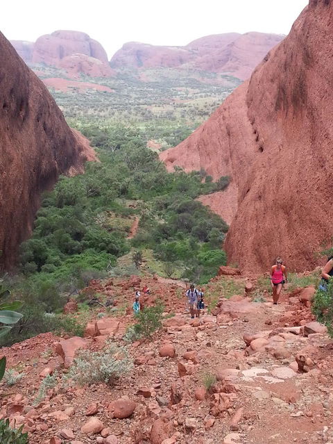 3-Day Ayers Rock To Alice Springs Camping Tour Including Kings Canyon, Kata Tjuta And Uluru - Tourism Gold Coast 7