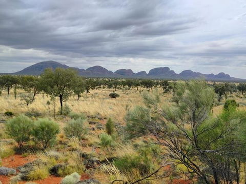 3-Day Ayers Rock To Alice Springs Camping Tour Including Kings Canyon, Kata Tjuta And Uluru - Tourism Gold Coast 5