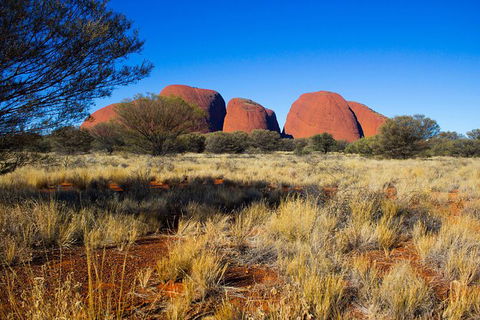 Kata Tjuta Sunrise And Valley Of The Winds Half-Day Trip - Tourism Gold Coast 11
