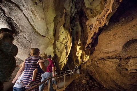 Cutta Cutta Caves Nature Park Guided Tours - Tourism Gold Coast 2