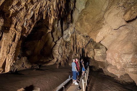 Cutta Cutta Caves Nature Park Guided Tours - Tourism Gold Coast 3