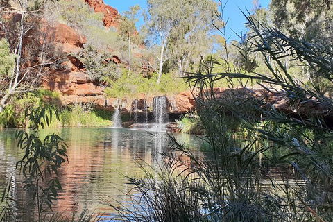 20 Day Darwin To Perth Adventure - Tourism Gold Coast 10