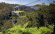 Go Sydney Explorer Pass With Hop-on Hop-Off Bus, Taronga Zoo And More - thumb 10