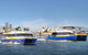 Go Sydney Explorer Pass With Hop-on Hop-Off Bus, Taronga Zoo And More - thumb 7