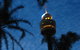Infinity At Sydney Tower - thumb 17