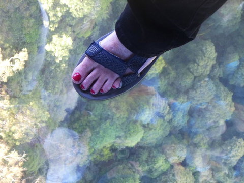 Blue Mountains Day Trip From Sydney Including Scenic World - Tourism Gold Coast 1