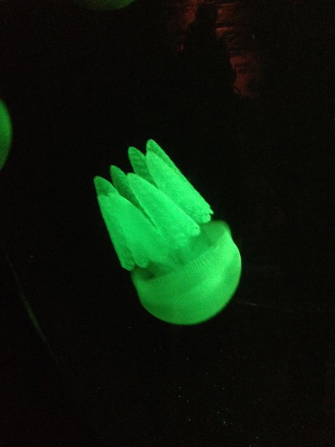 SEA LIFE Sydney Aquarium Entrance Ticket - Gold Coast 2