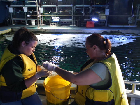 SEA LIFE Sydney Aquarium Entrance Ticket - Gold Coast 14