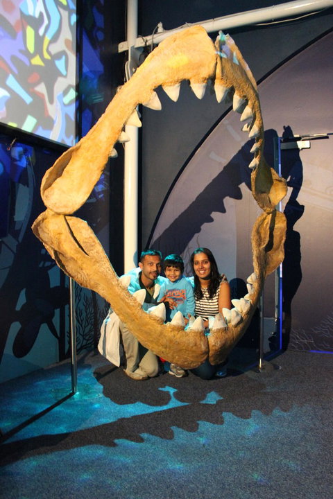 SEA LIFE Sydney Aquarium Entrance Ticket - Gold Coast 6