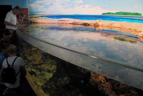 SEA LIFE Sydney Aquarium Entrance Ticket - Gold Coast 24