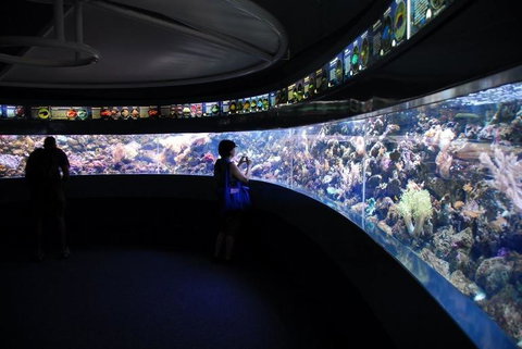 SEA LIFE Sydney Aquarium Entrance Ticket - Gold Coast 23