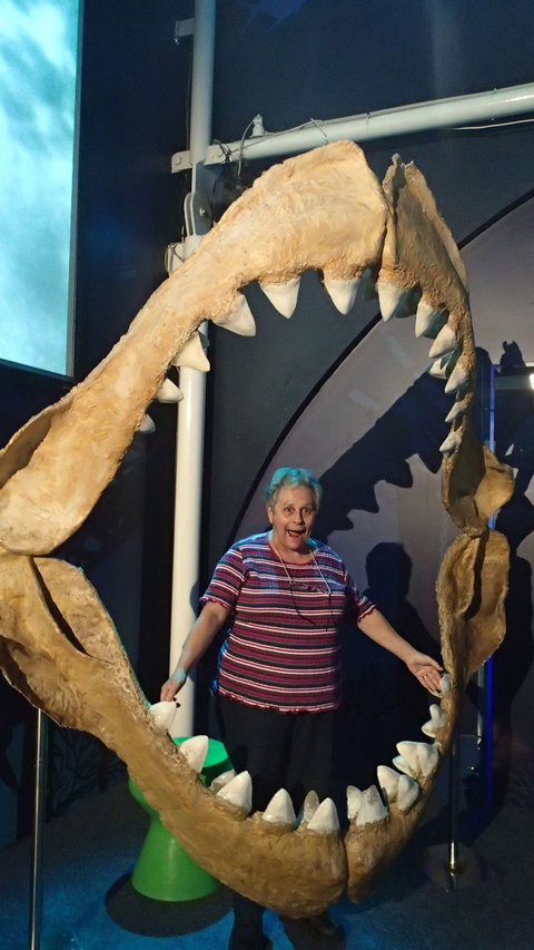 SEA LIFE Sydney Aquarium Entrance Ticket - Gold Coast 3