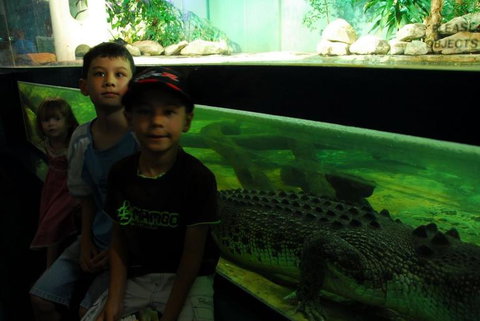 SEA LIFE Sydney Aquarium Entrance Ticket - Gold Coast 22