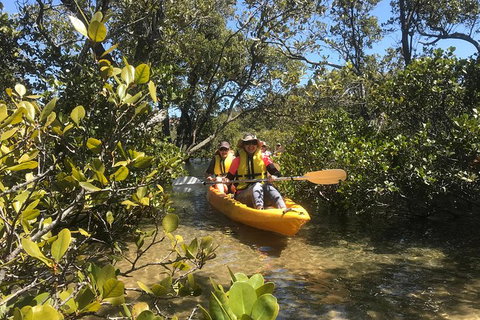 Paddle In Paradise - 4 Hours Double Kayak Hire - Tourism Gold Coast 1