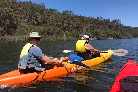 Paddle In Paradise - 4 Hours Double Kayak Hire - Tourism Gold Coast 4