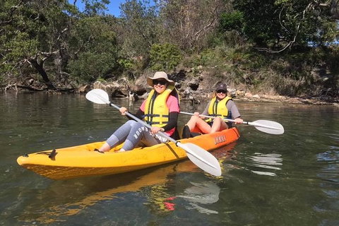 Paddle In Paradise - 4 Hours Double Kayak Hire - Tourism Gold Coast 6