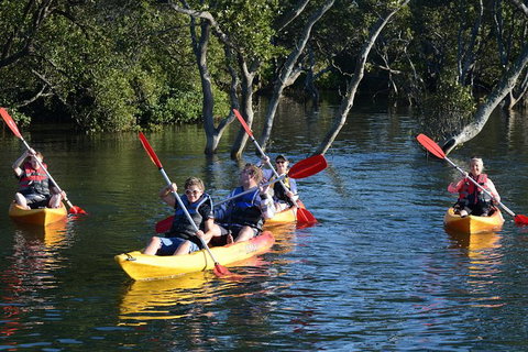 Kayak And SUP Guided Tours - Tourism Gold Coast 0