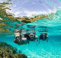 Sydney 3-Hour Snorkeling Tour - Tourism Gold Coast