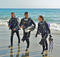 Sydney Guided Shore Dive - Tourism Gold Coast