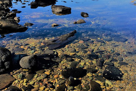 The Eurobodalla Experience (Full Day Private Tour Including Lunch) - Tourism Gold Coast 14