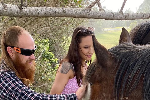 The Eurobodalla Experience (Full Day Private Tour Including Lunch) - Tourism Gold Coast 23