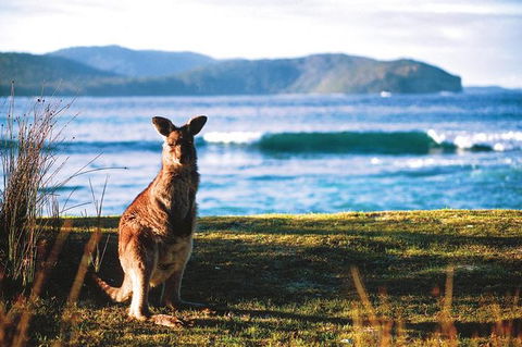 The Eurobodalla Experience (Full Day Private Tour Including Lunch) - Tourism Gold Coast 7