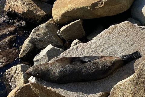 The Eurobodalla Experience (Full Day Private Tour Including Lunch) - Tourism Gold Coast 8