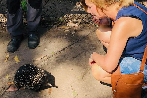 The Eurobodalla Experience (Full Day Private Tour Including Lunch) - Tourism Gold Coast 18