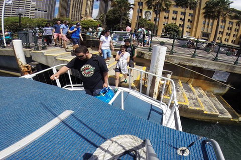 Sydney Harbour Private Tour - Tourism Gold Coast 4