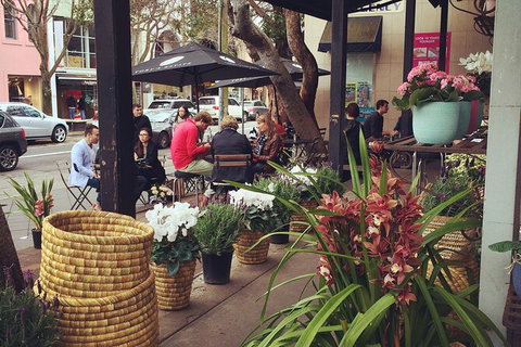 Story Of Sydney Tour - Tourism Gold Coast 5