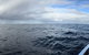 Sydney Whale-Watching Cruise Including Lunch Or Breakfast - thumb 4