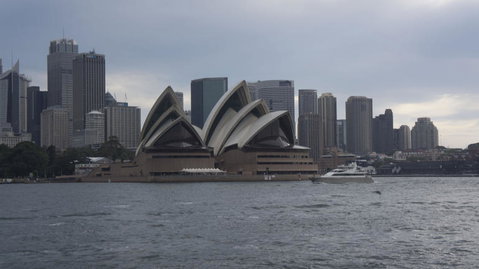 Sydney Whale-Watching Cruise Including Lunch Or Breakfast - Tourism Gold Coast 10