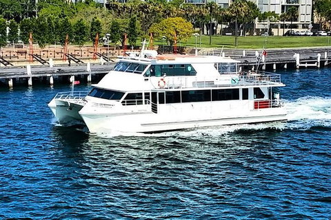Sydney Whale-Watching Cruise Including Lunch Or Breakfast - Tourism Gold Coast 21