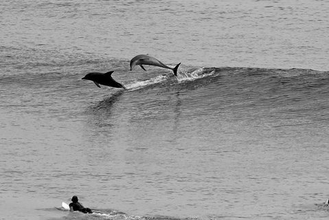 7-Day Byron Bay, Evans Head And Moonee Beach Surf Safari From Brisbane, Gold Coast Or Byron Bay - Tourism Gold Coast 6