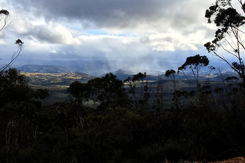 PJ Blue Mountains Trails - Tourism Gold Coast 1