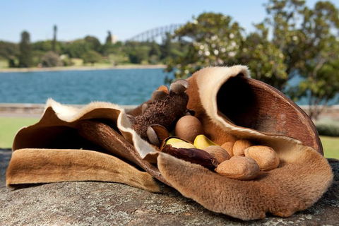 Aboriginal Heritage Tour At The Royal Botanic Garden Sydney - Tourism Gold Coast 7