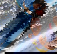 Coffs Harbour Ground Rush or Max Freefall Tandem Skydive on the Beach - Tourism Gold Coast