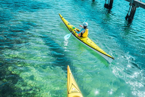 Self-Guided Sydney Middle Harbour Kayak 3 Hour Tour By Single Kayak - Gold Coast 1