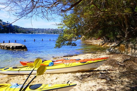 Self-Guided Sydney Middle Harbour Kayak 3 Hour Tour By Single Kayak - Gold Coast 6