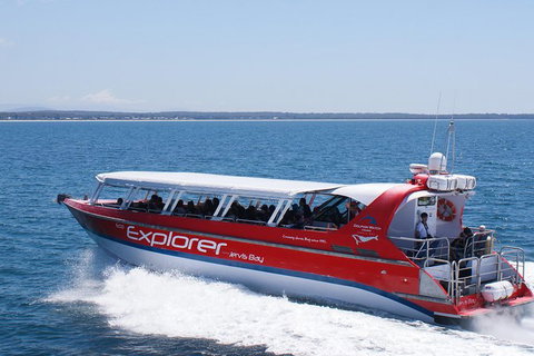 Whale Watching Jervis Bay - Tourism Gold Coast 1