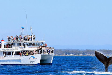 Whale Watching Jervis Bay - Tourism Gold Coast 6