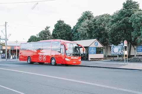SkyBus Byron Bay Express - Tourism Gold Coast 3