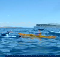Whale Watching by Sea Kayak in Batemans Bay - Gold Coast