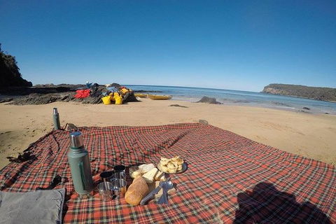 Whale Watching By Sea Kayak In Batemans Bay - Tourism Gold Coast 6