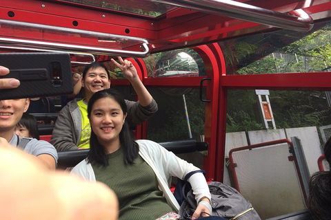 All-Day Blue Mountains Private Tour With Professional Guide For Up To 4 People - Tourism Gold Coast 15