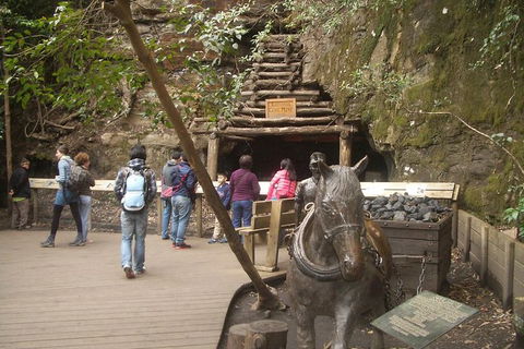 All-Day Blue Mountains Private Tour With Professional Guide For Up To 4 People - Tourism Gold Coast 9