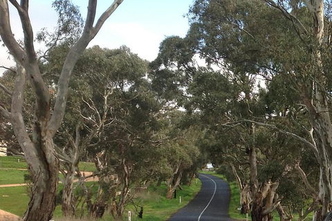 All-Day Blue Mountains Private Tour With Professional Guide For Up To 4 People - Tourism Gold Coast 22