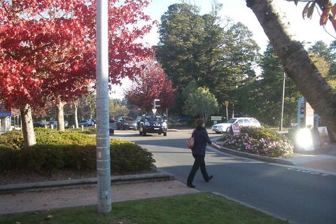 All-Day Blue Mountains Private Tour With Professional Guide For Up To 4 People - Tourism Gold Coast 12