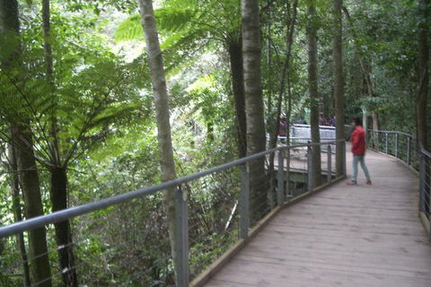 All-Day Blue Mountains Private Tour With Professional Guide For Up To 4 People - Tourism Gold Coast 20